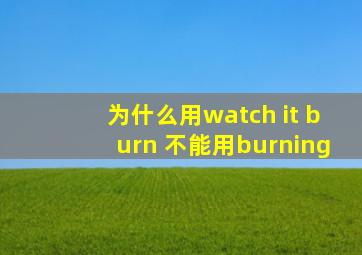 为什么用watch it burn 不能用burning